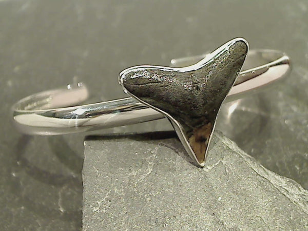 Fossil Shark Tooth, Fine Sterling Cuff Bracelet