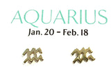 Gold Plated Sterling Aquarius Zodiac Stud Earrings