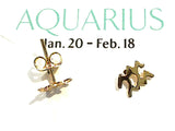 Gold Plated Sterling Aquarius Zodiac Stud Earrings