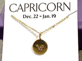 16" - 18" Gold Plated Sterling Capricorn Zodiac Necklace