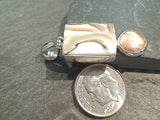 Nautilus Shell, Coin Pearl, Sterling Pendant