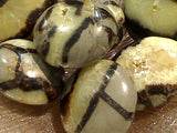 50g-60g Palm Stone Septarian Nodule