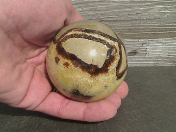 Septarian Nodule 2.75" Gemstone Sphere