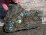 Labradorite Polished Front Slab 7.25"H x 5.75"W