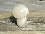 Agate 2.5" x 1.5" Mushroom With Druzy Pocket