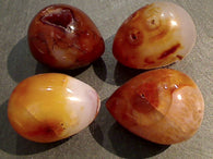 Agate With Carnelian Egg 50g - 60g