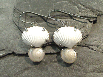 Sea Shells, Sterling Silver Earrings