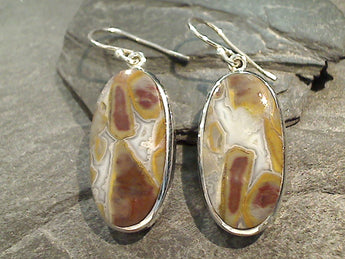 Crazy Lace Agate, Sterling Silver Earrings