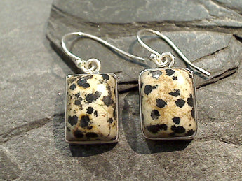 Dalmatian Jasper, Sterling Silver Earrings