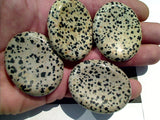 Worry Stone - Dalmatian Jasper 2" x 1.5"