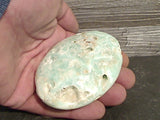 Caribbean Calcite 197g Palm Stone