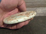 Caribbean Calcite 215g Palm Stone