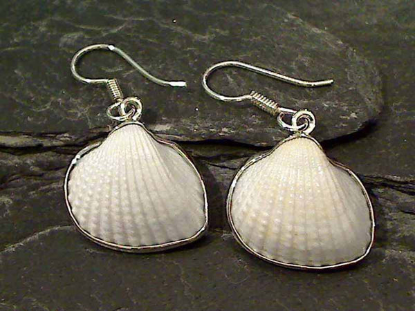 Ark Shell, .950 Fine Sterling Earrings