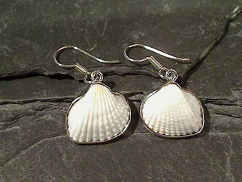 Ark Shell, .950 Fine Sterling Earrings