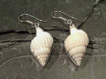 Sea Shell, .950 Fine Sterling Earrings