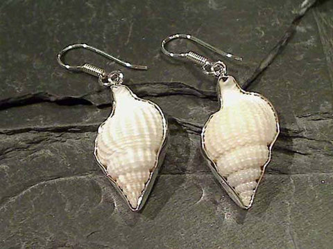 Sea Shell, .950 Fine Sterling Earrings