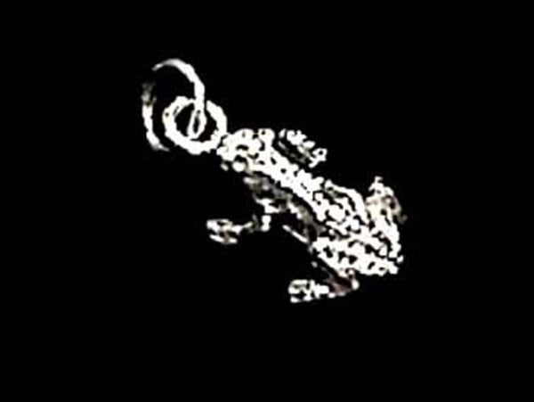 STERLING SILVER FROG CHARM