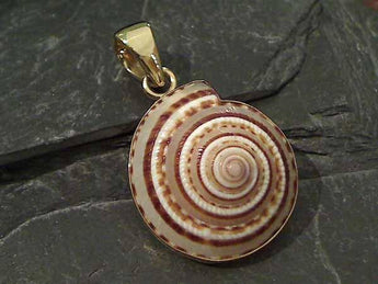 Sundial Shell, Alchemia Pendant