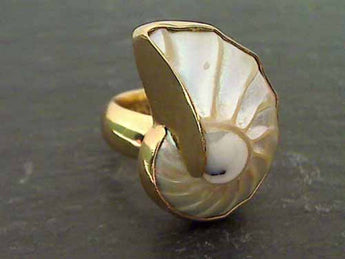 Nautilus Shell, Alchemia Ring - Adj. Size