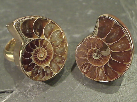 Ammonite, Alchemia Ring - Adjustable Size