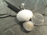 Sea Shells, Sterling Silver Pendant
